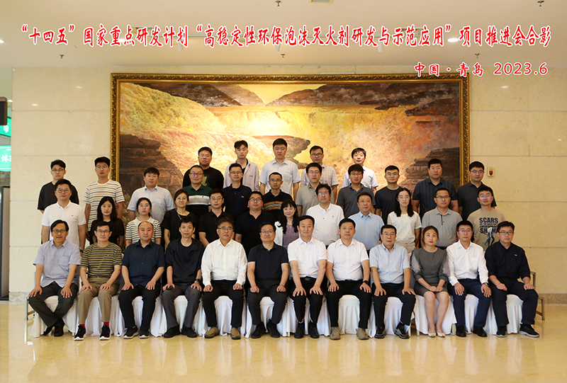 日前我所在青島召開“十四五”國家重點研發(fā)計劃“高穩(wěn)定性環(huán)保泡沫滅火劑研發(fā)與示范應(yīng)用”項目推進(jìn)會