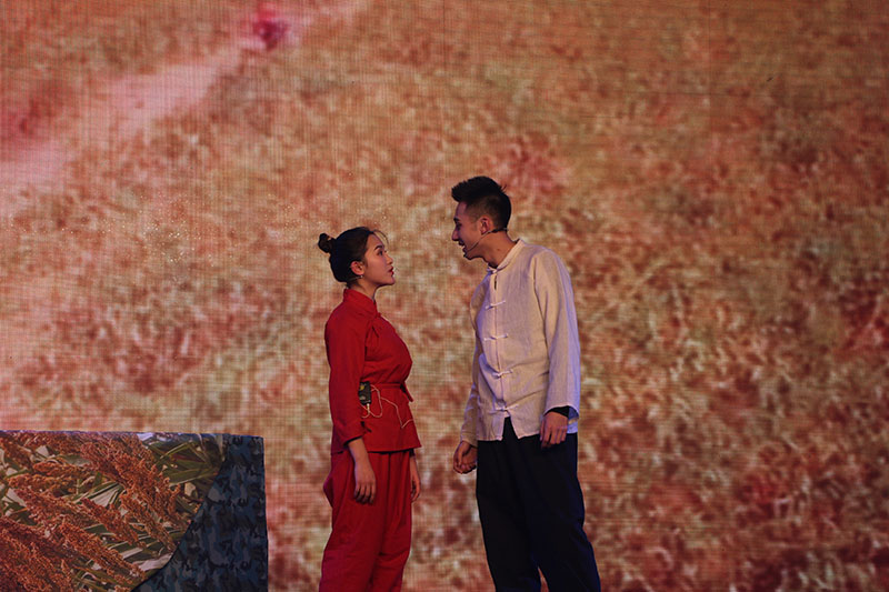 表演藝考培訓費用真的都是天價嗎